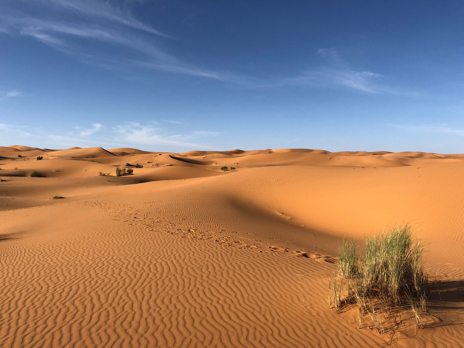 Egyptian dunes