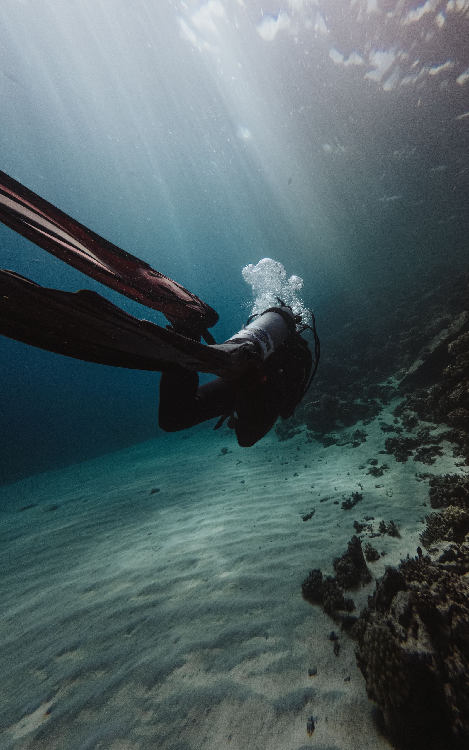 Diver under sunbeams