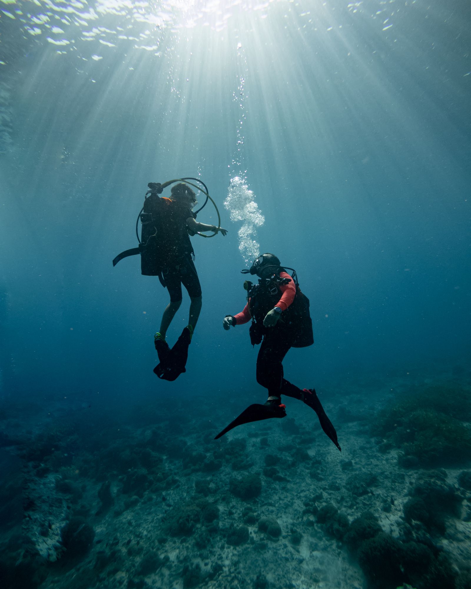 Deep blue divers